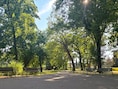 Zwevegem plant twee camera’s om overlast in gemeentepark aan te pakken: “Belangrijk signaal aan de bevolking”