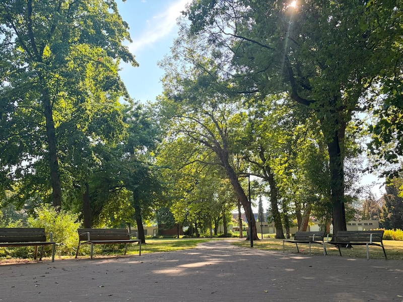 Zwevegem plant twee camera’s om overlast in gemeentepark aan te pakken: “Belangrijk signaal aan de bevolking”