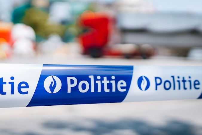 Politielint