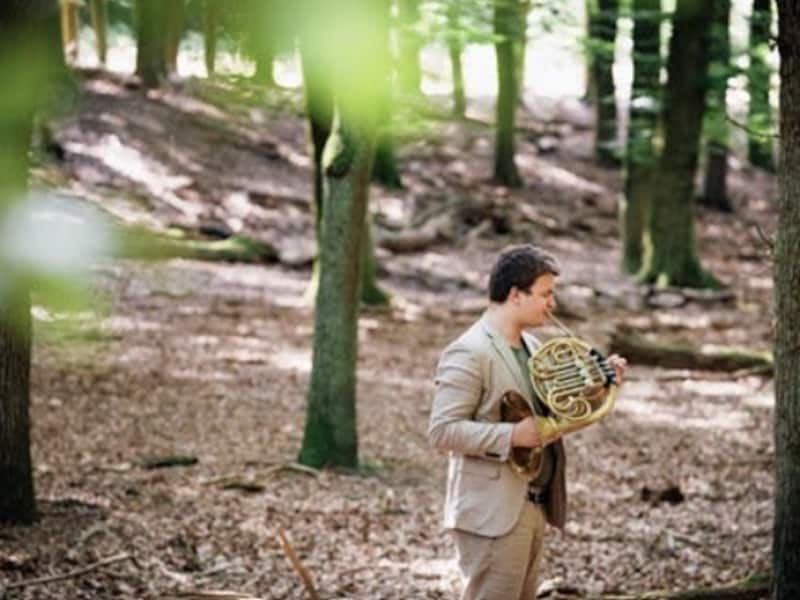 Wandelen tussen de bomen en luisteren naar hoorns: bijzonder natuurconcert in Wachtebeke