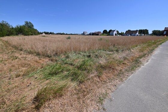 Na de hitte volgen lokale (onweers)buien en windstoten, nog tot 34 ...