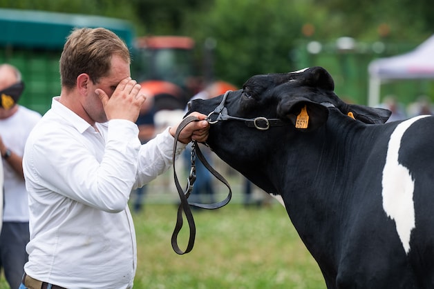KLaas De Scheirder