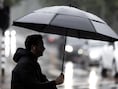 Herfst wordt waarschijnlijk zacht en nat: “Vooral in oktober en november veel regen”