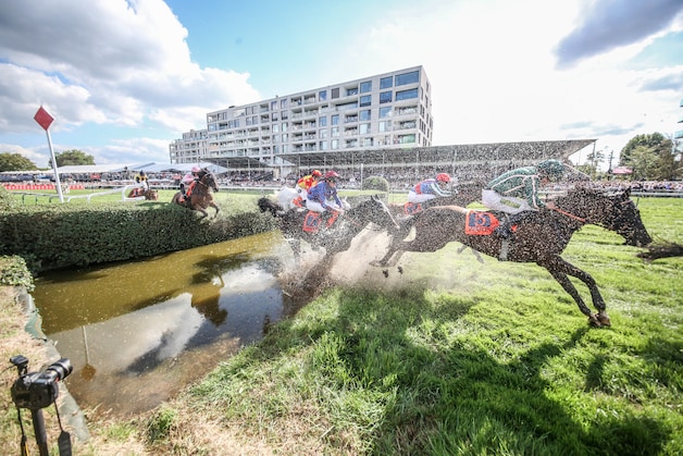 Eén paard loopt verstuiking op tijdens Waregem Koerse, GAIA reageert ...