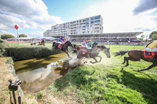 Eén paard loopt verstuiking op tijdens Waregem Koerse, GAIA reageert ...