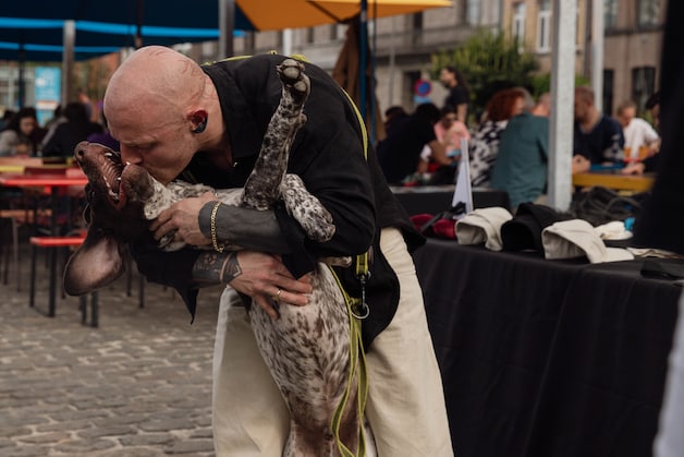 Hondenliefhebbers en adoptiehondjes veroverden WOLF tijdens Hounds ...
