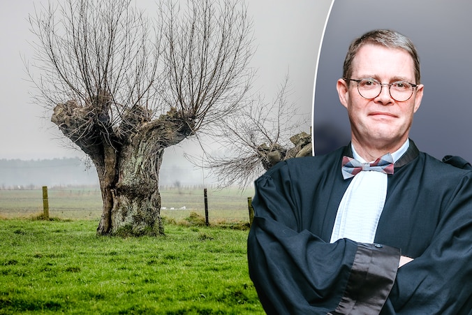 Man trekt naar vrederechter door knotwilg van buren, maar wat doe je ...