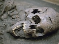 Dankzij 25.000 jaar oude tanden: archeologen vinden oudste bewijs van regelmatig drugsgebruik in Indonesië