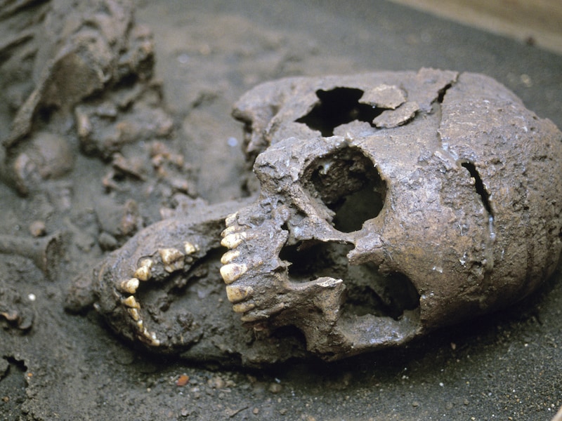 Dankzij 25.000 jaar oude tanden: archeologen vinden oudste bewijs van regelmatig drugsgebruik in Indonesië