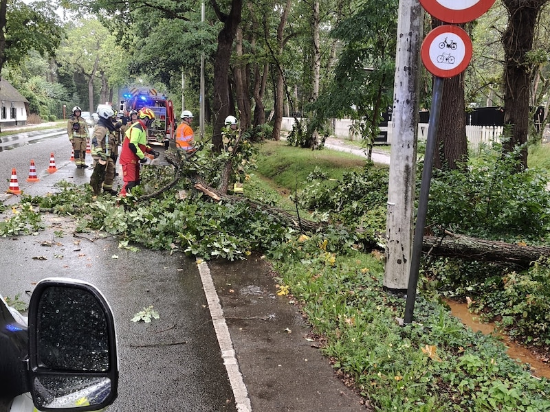 Drukke nacht voor Brandweer Zone Rand: 183 interventies na storm, waarvan 149 voor omgevallen bomen