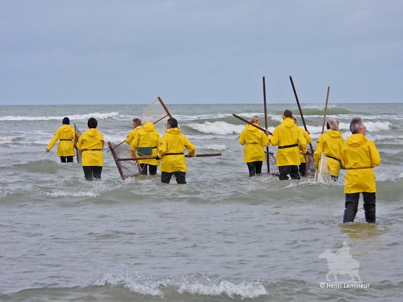 Vrouwelijke garnaalkruiers ‘De Stienesteekers’ uit Koksijde demonstreren hun ambacht in zee
