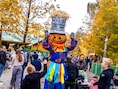 Wat te doen in Zuid-West-Vlaanderen dit weekend? Van griezelen in een pretpark tot genieten van fluitende vogels