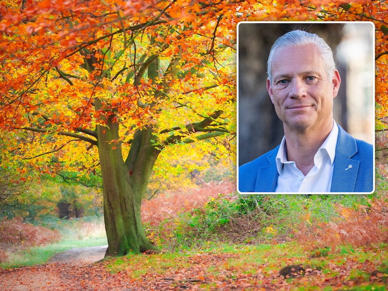Walter Damen over de schoonheid van de herfst: “Ze toont dat zelfs afsterven mooi kan zijn”