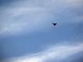 Satellietbeelden tonen hoe Rusland in amper 6 weken dronebasis bouwt vlak bij Oekraïne