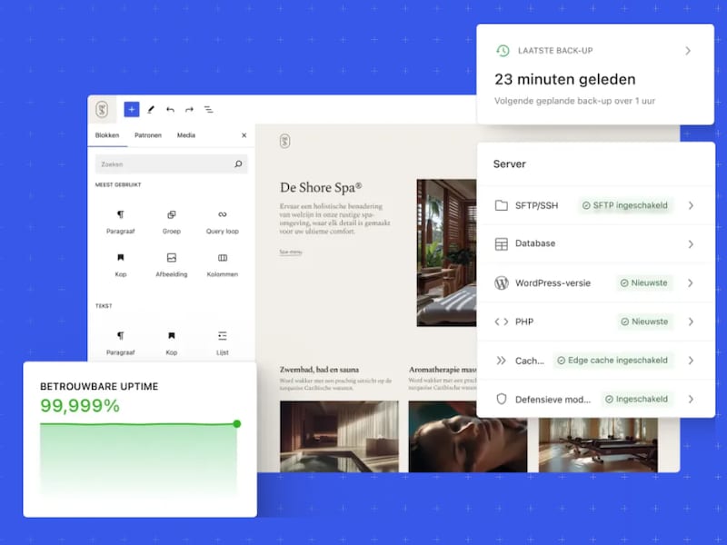 WordPress.com-eigenaar Automattic krijgt nieuw bestuur na poging om CEO af te zetten