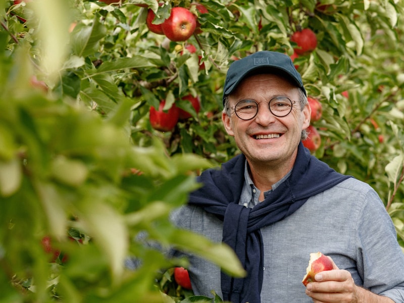 Limburgse fruitteler Karel (60) wil 150.000 kilo appels redden met drive-in in Hasselt: “Een paar vlekjes zeggen niets over de smaak of kwaliteit”