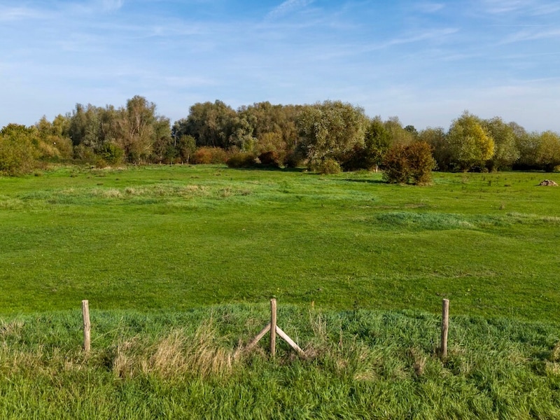Krijgt de Biesweerd een tweede leven als natuurgebied?