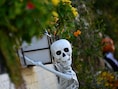Leerexpert Kokoen in Brasschaat houdt griezelige halloween-bingo