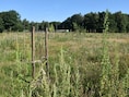 Boshappening: ontdek het groene hart van Pietersheim