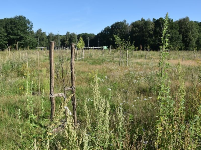 Boshappening: ontdek het groene hart van Pietersheim