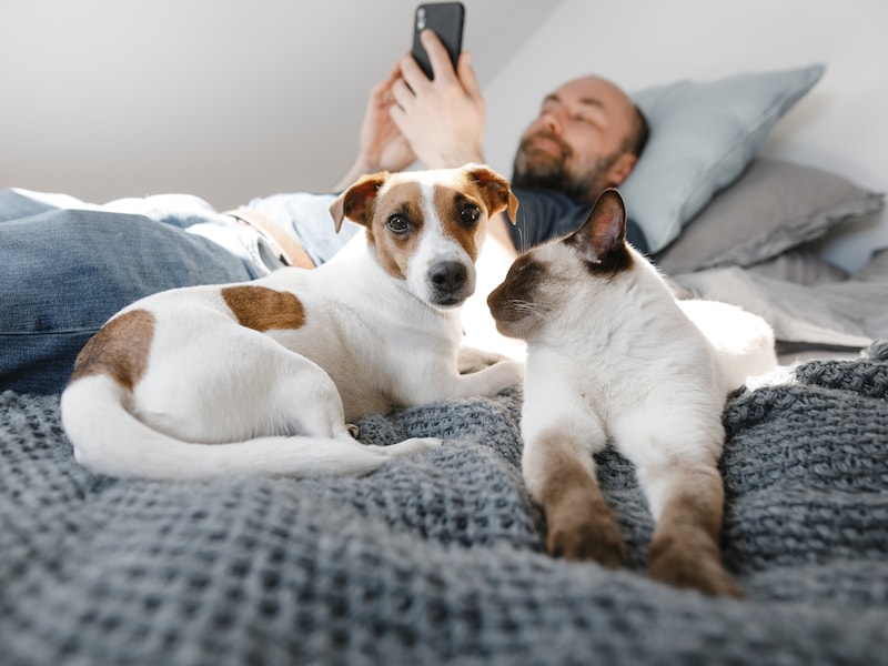 Je hond of kat meenemen in bed: is dat een verstandig (en gezond) idee?