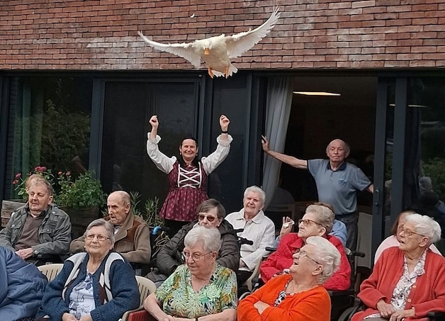 KIJK. Met haar vier ganzen en vijf eenden gaat Cécile (49) elke dag op ...