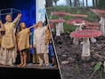 Wat te doen in Limburg dit weekend: van Trudofeesten tot paddenstoelen spotten