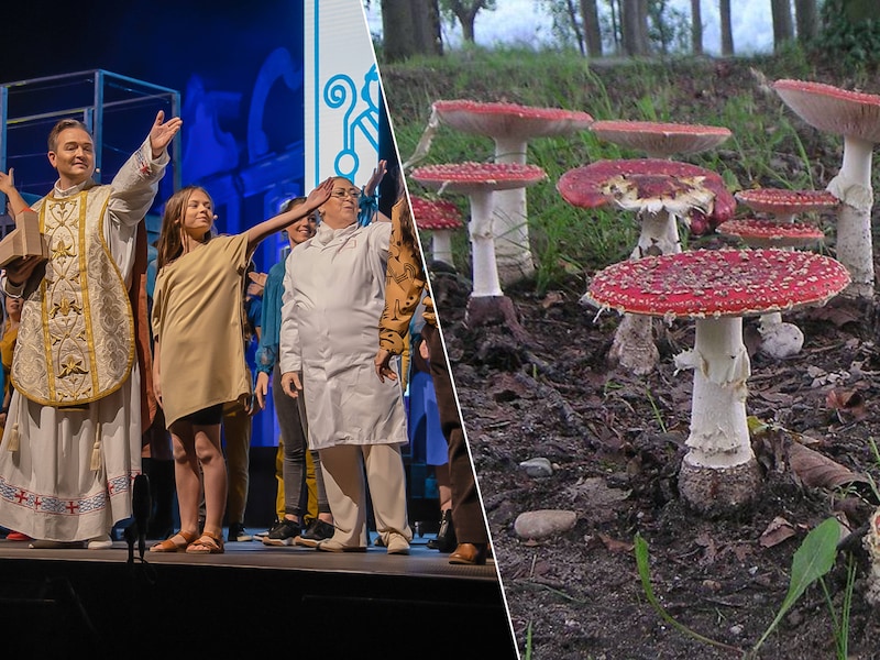 Wat te doen in Limburg dit weekend: van Trudofeesten tot paddenstoelen spotten