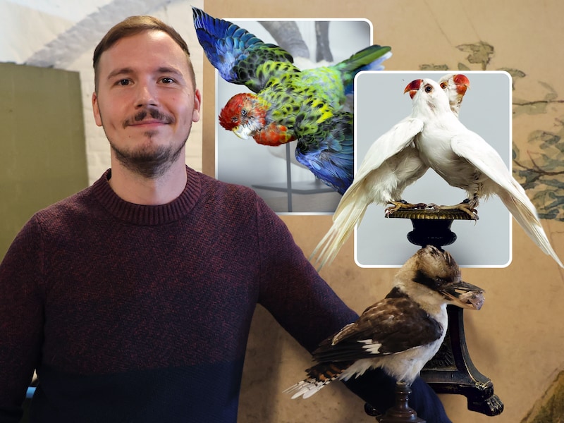 Taxidermist Andy (34) ontrafelt geheimen van de job: “Klanten die hun huisdier met open ogen terug willen... Die gesprekken zijn emotioneel”