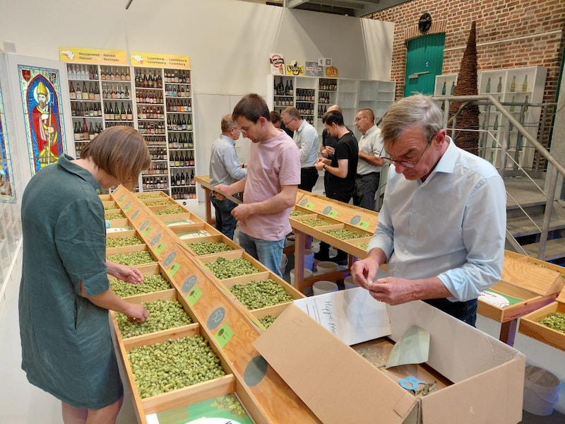 Brouwers en hoptelers komen samen tijdens exclusief brouwersmoment