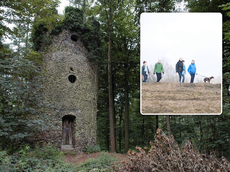 Hanske De Krijger trekt naar Muziekbos