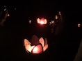 KIJK. Wondernacht zorgt voor een overrompeling in Diksmuide