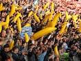 Een uitvak vol... bananen: Manchester City-aanhang betuigt op bizarre wijze steun aan club na hetze rond financieel gesjoemel
