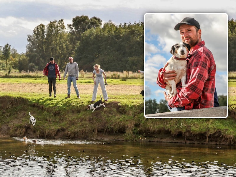 Eerst rennen, dan duiken: honden zwemmen in Sint-Baafs-Vijve zo snel mogelijk naar hun baasjes en dat voor de 175ste keer