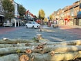 Alle bomen aan Pauwengraaf gekapt voor grote werken: “Er worden nieuwe op andere plekken geplant”