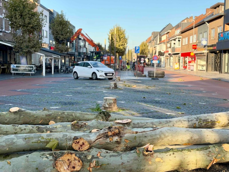 Alle bomen aan Pauwengraaf gekapt voor grote werken: “Er worden nieuwe op andere plekken geplant”