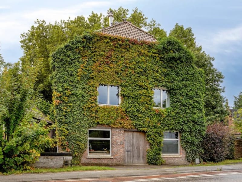 Deze 7 woningen zijn nu te koop in Boutersem