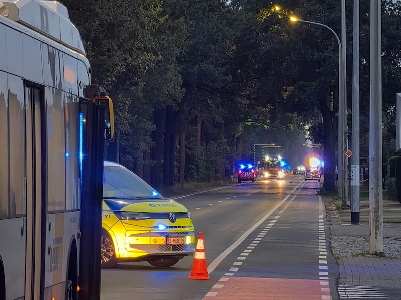 Omgevallen boom verspert Bredabaan in Wuustwezel