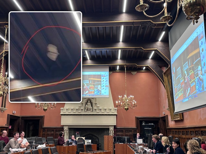 Onverwacht bezoek op commissie in Gent: vleermuis fladdert raadszaal binnen