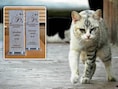 Sint-Pieters-Leeuw krijgt zilveren label voor dierenbeleid