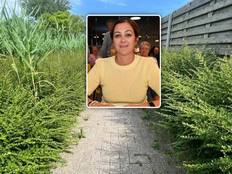 Tahira Malik (Vooruit) vraagt aandacht voor groenonderhoud en aanhangwagens in Mandelwijk