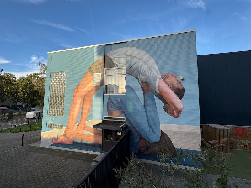 Negen meter hoge acrobaten sieren voortaan sporthal in Berchem: “Dit maakt ons bijzonder trots”