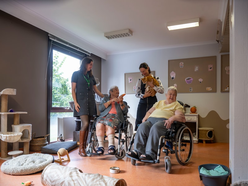 Woonzorgcentrum Hof ter Boonwijk opent kattenkamer: “Leuke ontmoetings- en belevingsruimte voor onze bewoners”