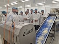 De Lochting en Curando slaan handen in elkaar voor nieuwe was- en snijinstallatie voor biologische groenten: “Zoveel meer dan een machine”