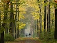 Sprookjes, lichtkunst en schitterende panorama’s: 7 magische herfstwandelingen voor het hele gezin