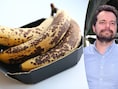 Gedaan met die bruine banaan binnenkort, maar is de gemodificeerde versie ook even lekker en veilig?