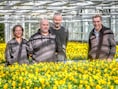 KIJK. Brugge ruilt de zomerplanten in voor kleurrijke winterviooltjes