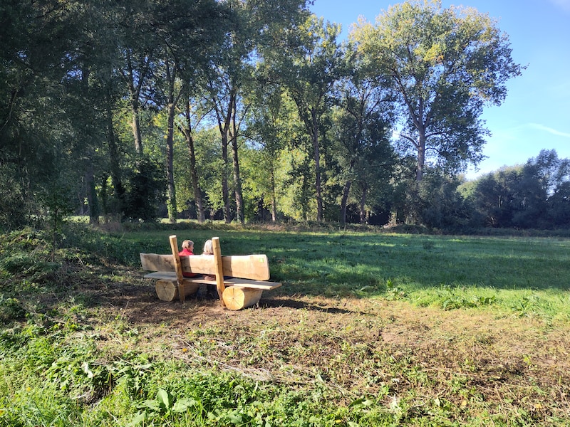 Natuurpunt Dendermonding op wandel langs trage wegen in Porre- en Paddebeekvallei