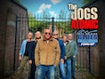 Band ‘The dOGS Atomic’ uit Boechout staat in finale van Belgian Blues Challenge