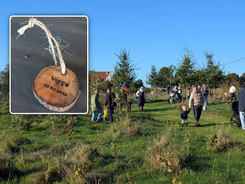 110 baby’s krijgen plekje in geboortebos van Wortegem-Petegem: “Symbool voor een veilige en gezonde toekomst”